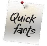 mobile casino quick facts-SA